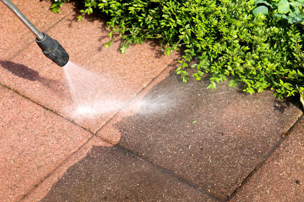 Local Pressure Washing Services in Greenville, TX